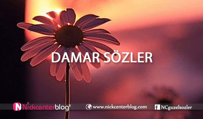 damar sözler