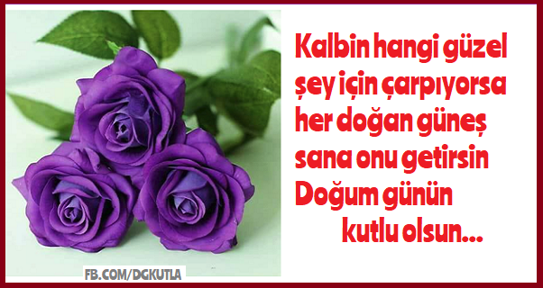 mor güllü doğum günü tebrik kartı