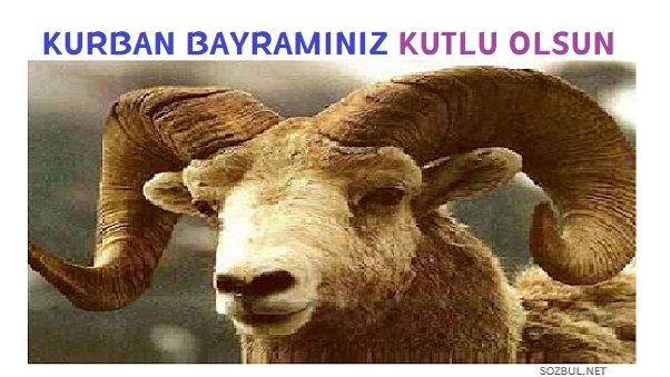 kurban bayramı